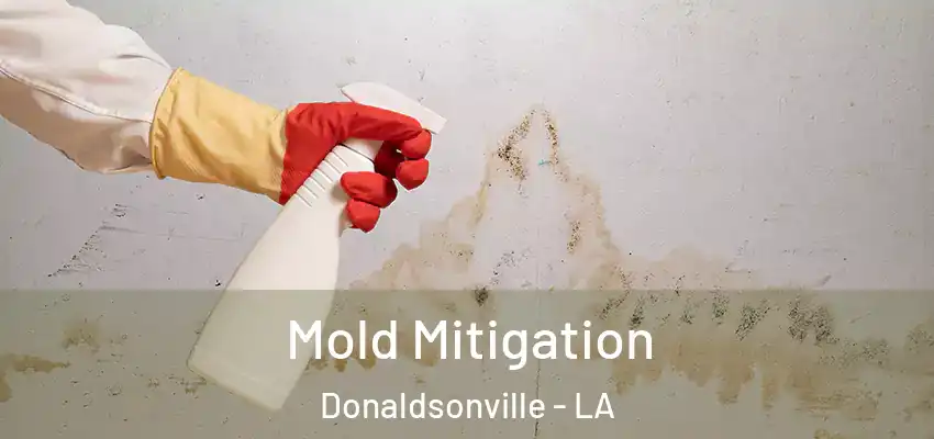  Mold Mitigation Donaldsonville - LA