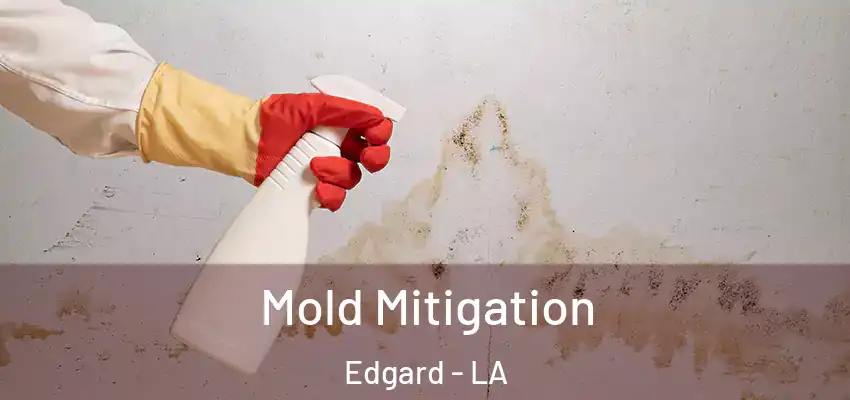Mold Mitigation Edgard - LA