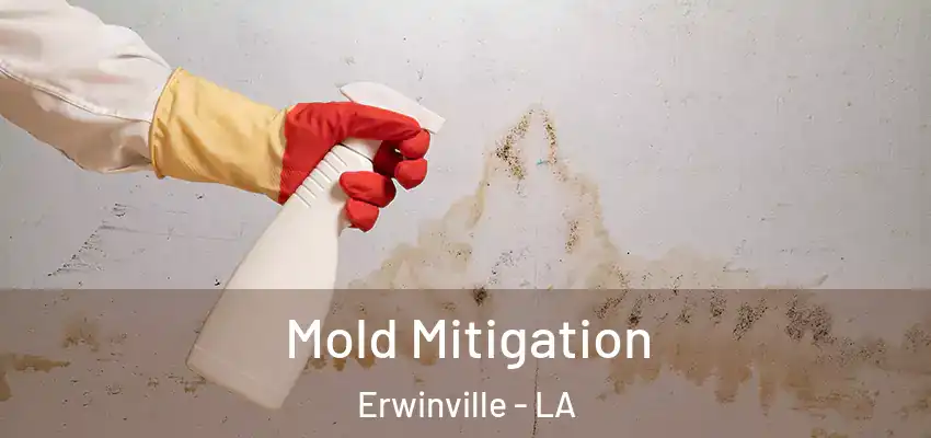  Mold Mitigation Erwinville - LA