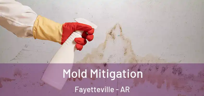  Mold Mitigation Fayetteville - AR