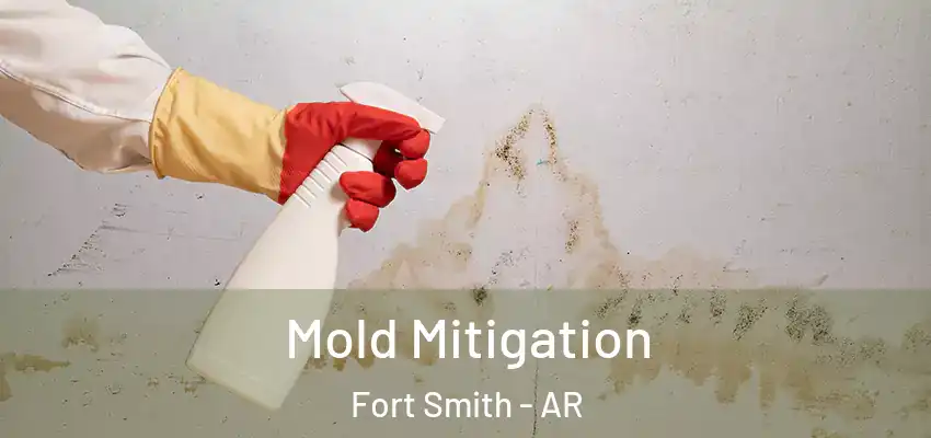 Mold Mitigation Fort Smith - AR