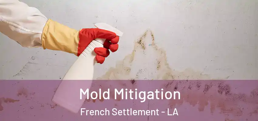  Mold Mitigation French Settlement - LA