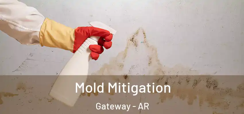Mold Mitigation Gateway - AR