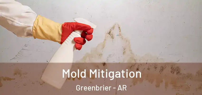 Mold Mitigation Greenbrier - AR