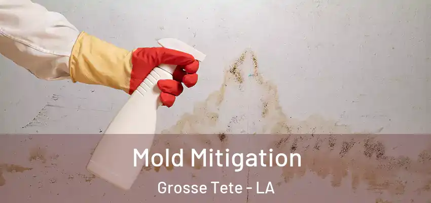  Mold Mitigation Grosse Tete - LA