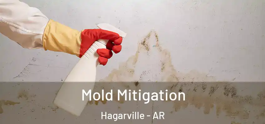  Mold Mitigation Hagarville - AR