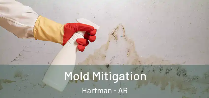 Mold Mitigation Hartman - AR