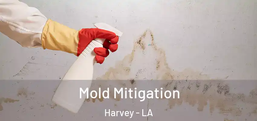 Mold Mitigation Harvey - LA