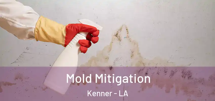 Mold Mitigation Kenner - LA