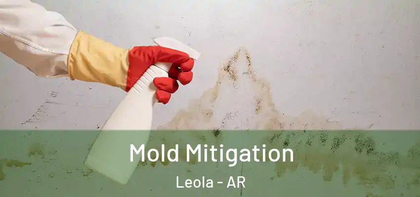 Mold Mitigation Leola - AR