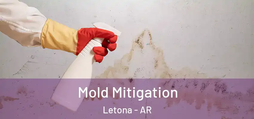 Mold Mitigation Letona - AR