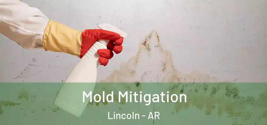 Mold Mitigation Lincoln - AR