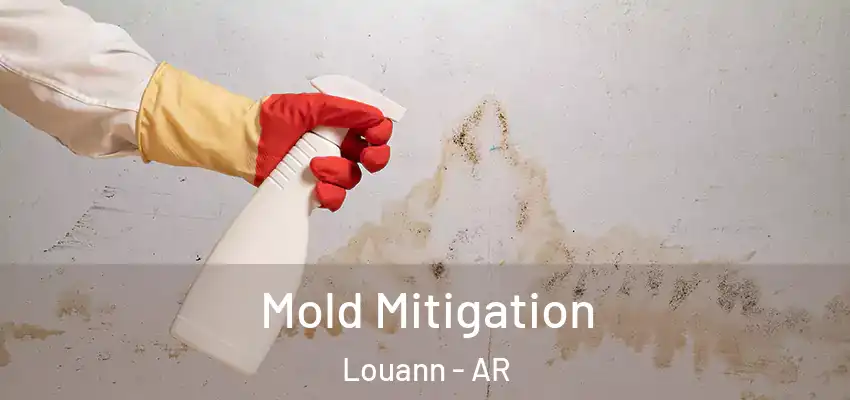 Mold Mitigation Louann - AR