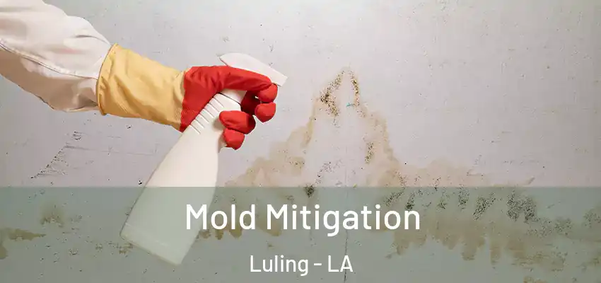  Mold Mitigation Luling - LA