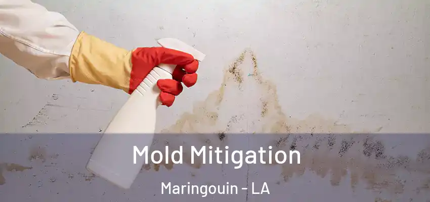  Mold Mitigation Maringouin - LA