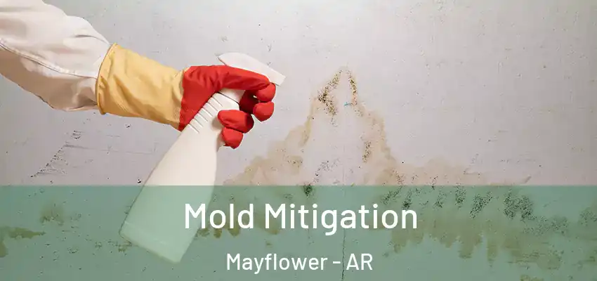 Mold Mitigation Mayflower - AR