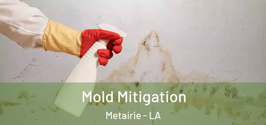  Mold Mitigation Metairie - LA