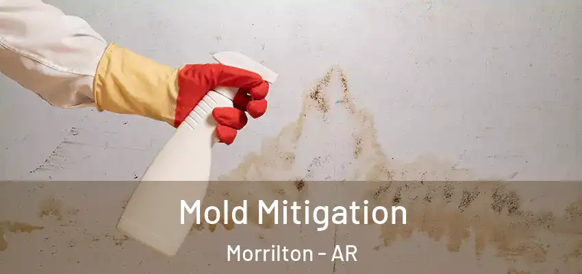 Mold Mitigation Morrilton - AR