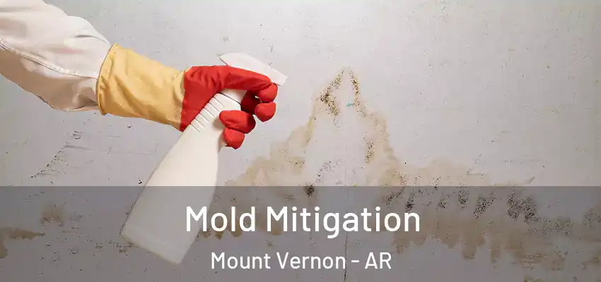 Mold Mitigation Mount Vernon - AR