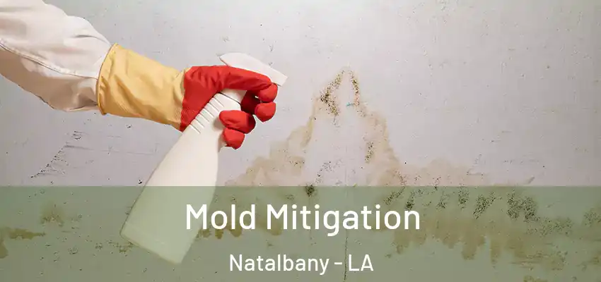 Mold Mitigation Natalbany - LA