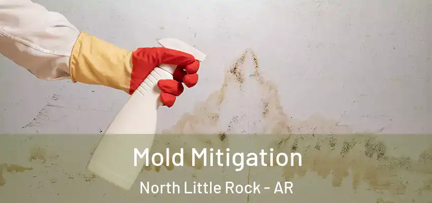  Mold Mitigation North Little Rock - AR