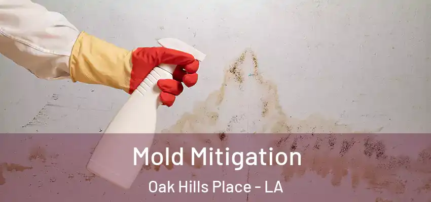  Mold Mitigation Oak Hills Place - LA