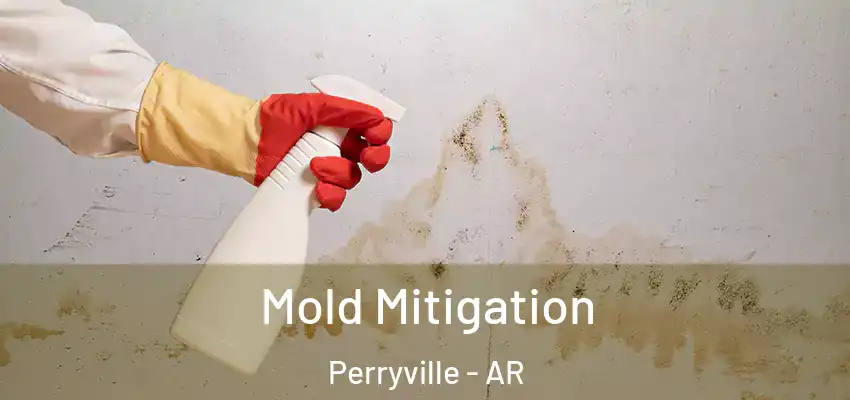  Mold Mitigation Perryville - AR