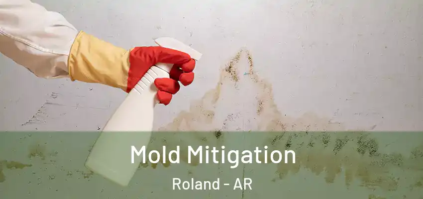 Mold Mitigation Roland - AR