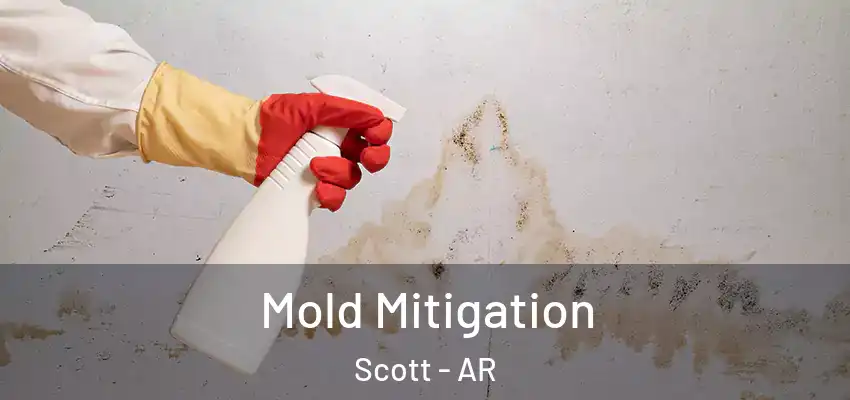  Mold Mitigation Scott - AR