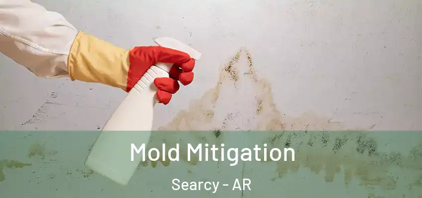 Mold Mitigation Searcy - AR