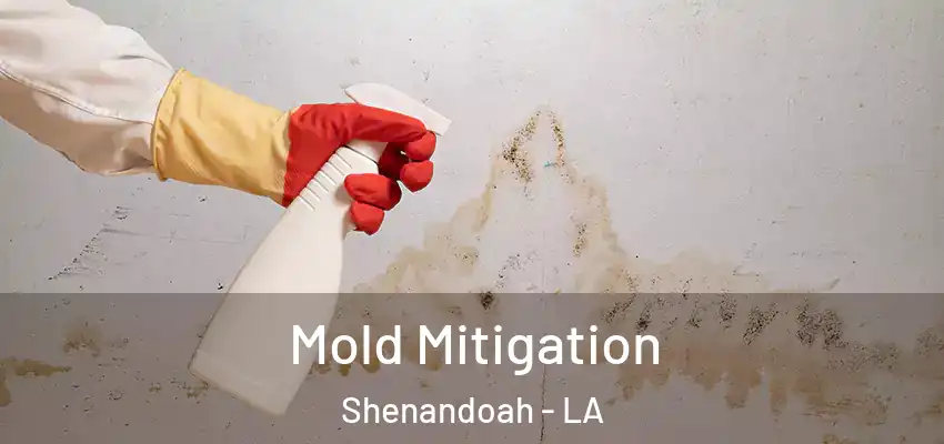 Mold Mitigation Shenandoah - LA