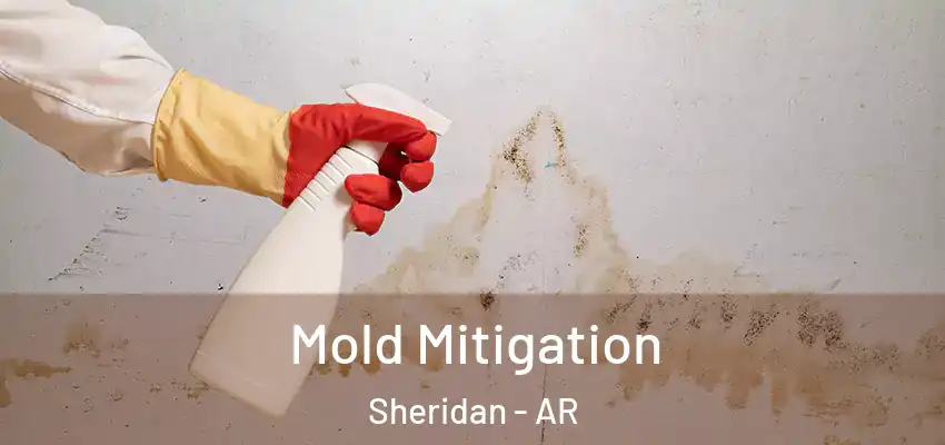  Mold Mitigation Sheridan - AR