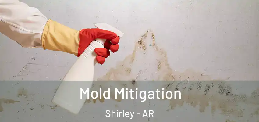 Mold Mitigation Shirley - AR