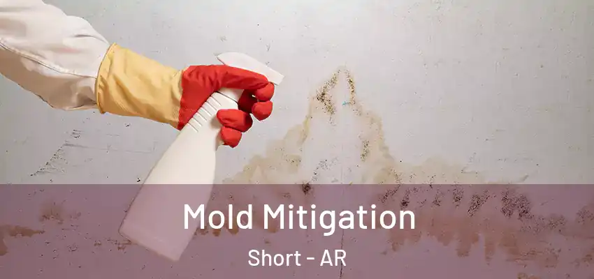 Mold Mitigation Short - AR