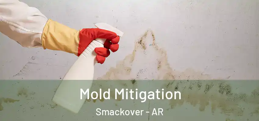 Mold Mitigation Smackover - AR