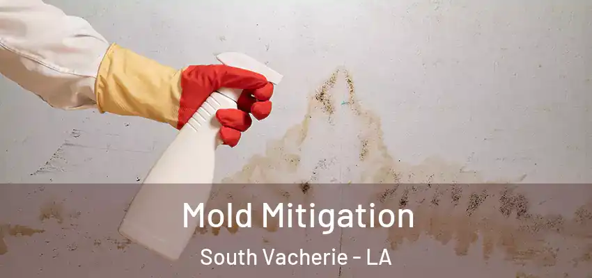  Mold Mitigation South Vacherie - LA