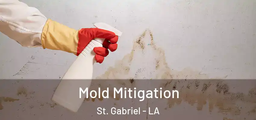  Mold Mitigation St. Gabriel - LA