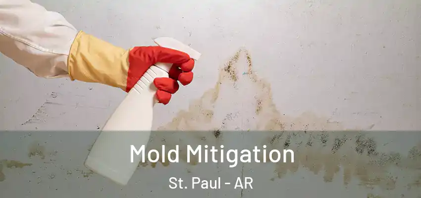 Mold Mitigation St. Paul - AR