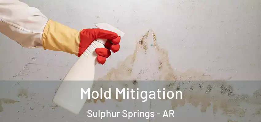 Mold Mitigation Sulphur Springs - AR