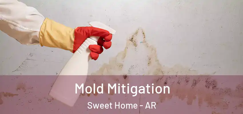  Mold Mitigation Sweet Home - AR
