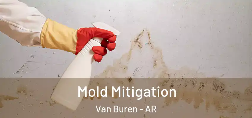  Mold Mitigation Van Buren - AR