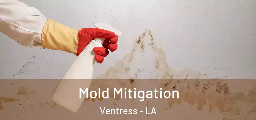 Mold Mitigation Ventress - LA