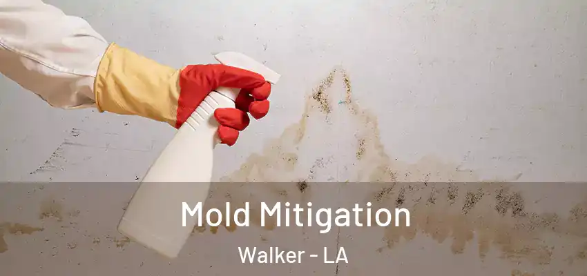  Mold Mitigation Walker - LA