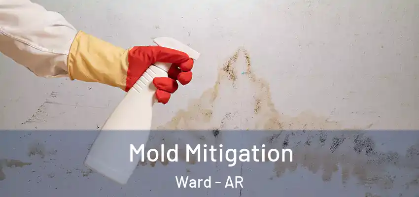  Mold Mitigation Ward - AR
