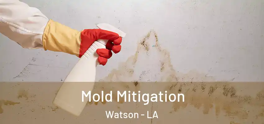  Mold Mitigation Watson - LA
