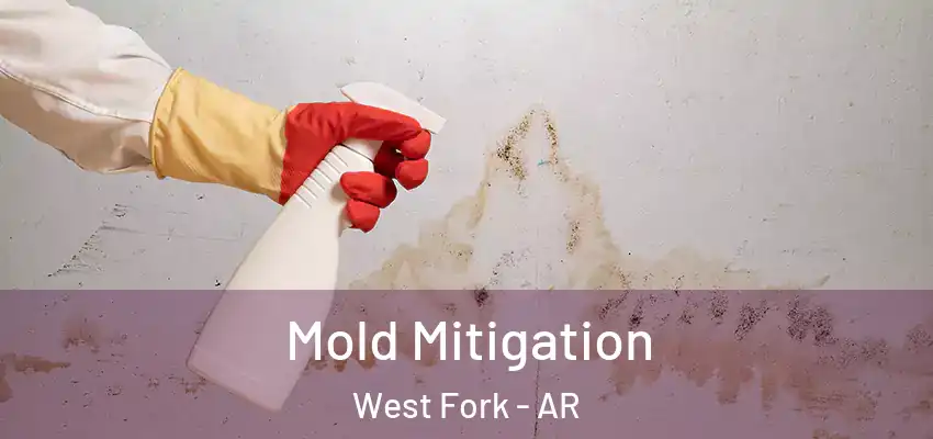 Mold Mitigation West Fork - AR