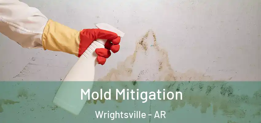  Mold Mitigation Wrightsville - AR