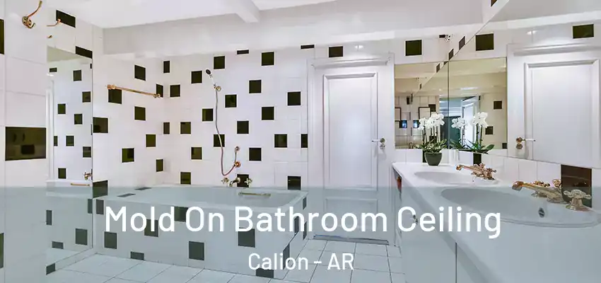 Mold On Bathroom Ceiling Calion - AR