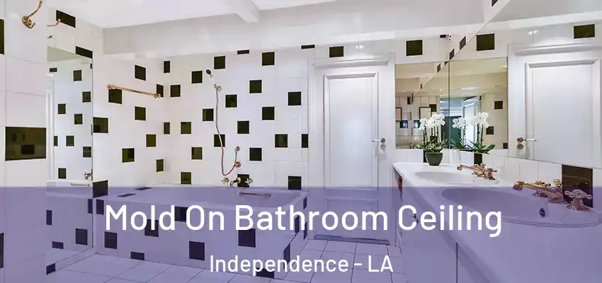  Mold On Bathroom Ceiling Independence - LA