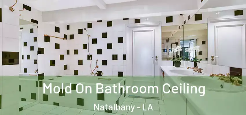 Mold On Bathroom Ceiling Natalbany - LA